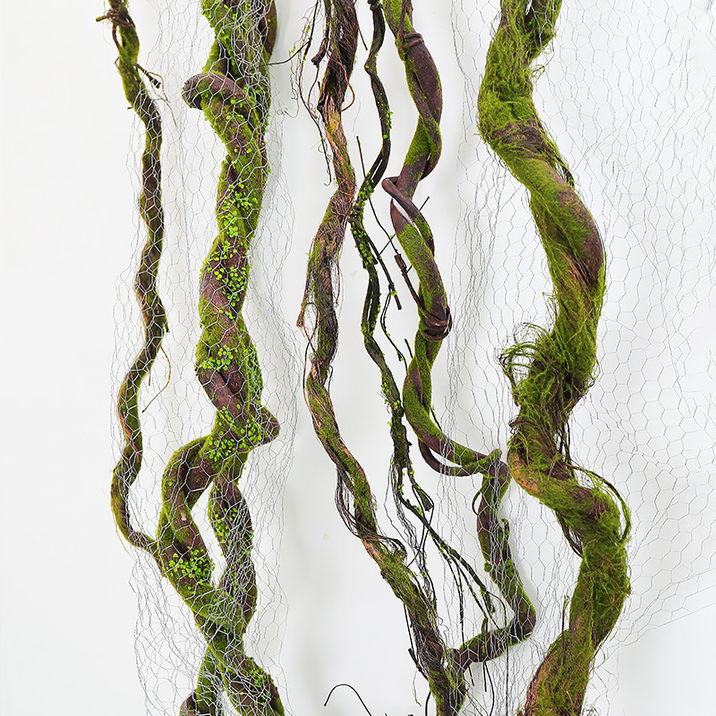 Sphagnum Moss Dry - Vigne de Flocage de Fausse Mousse