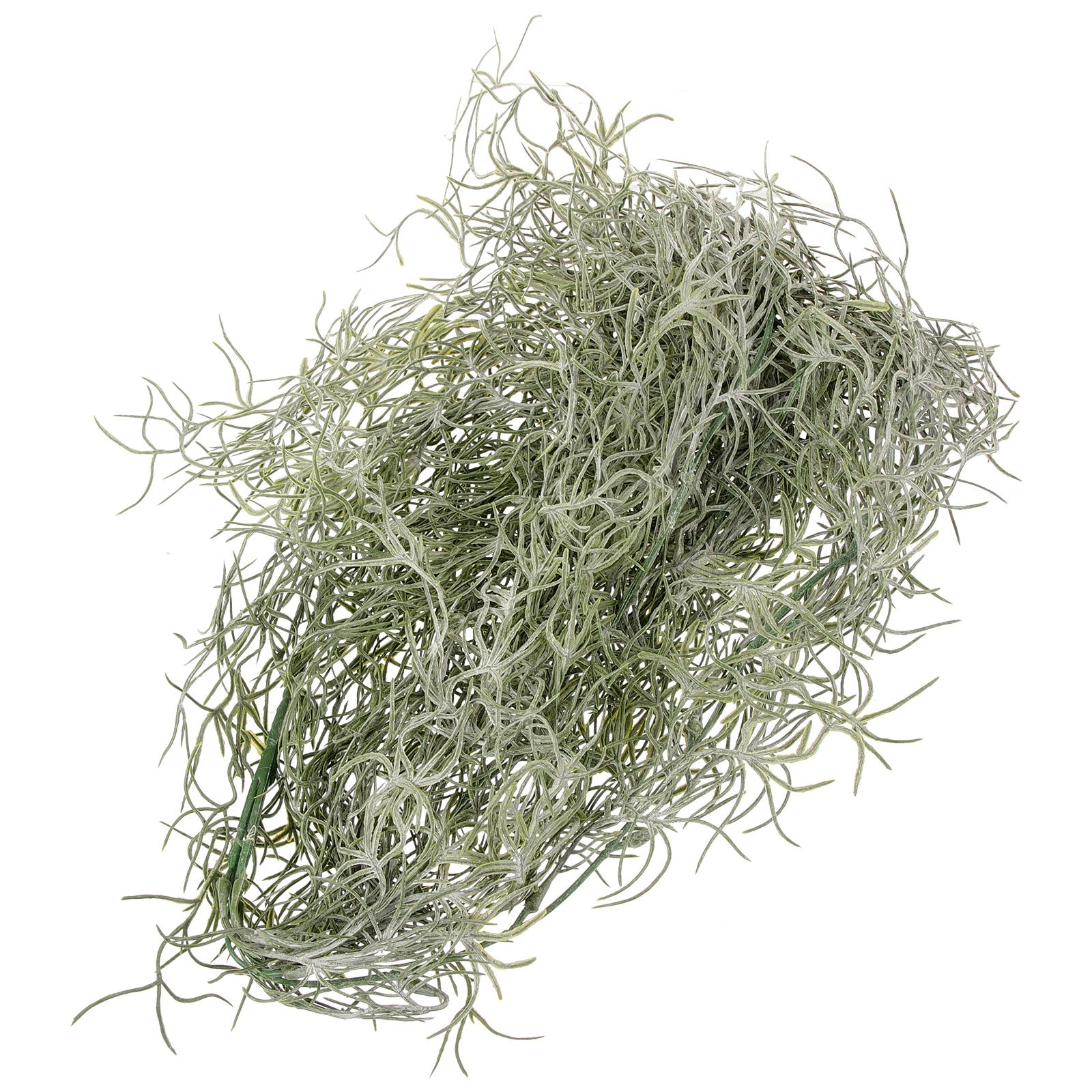 Sphagnum Moss Dry - Fleurs séchées artificielles vert foncé, mousse
