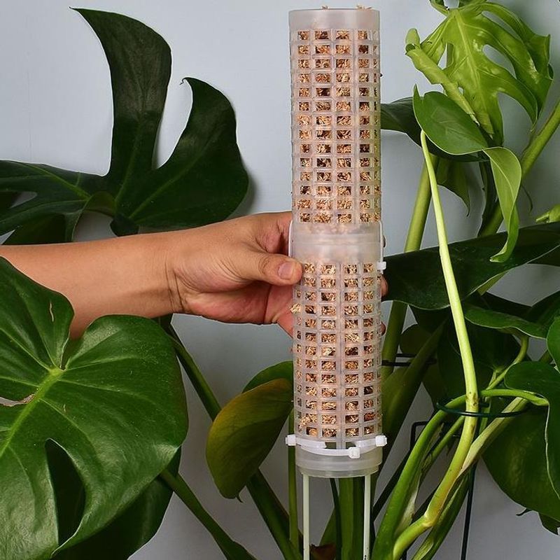 Sphagnum Moss Dry - Accessoire en plastique : Poteau de