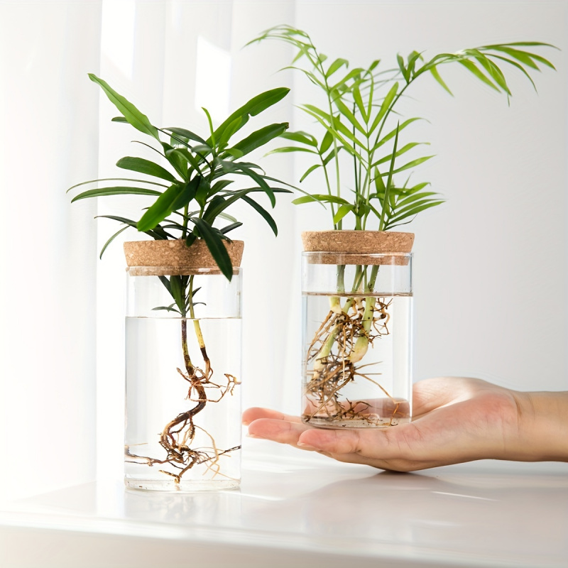 Propagation Station Vase - User inière en verre pour plantes