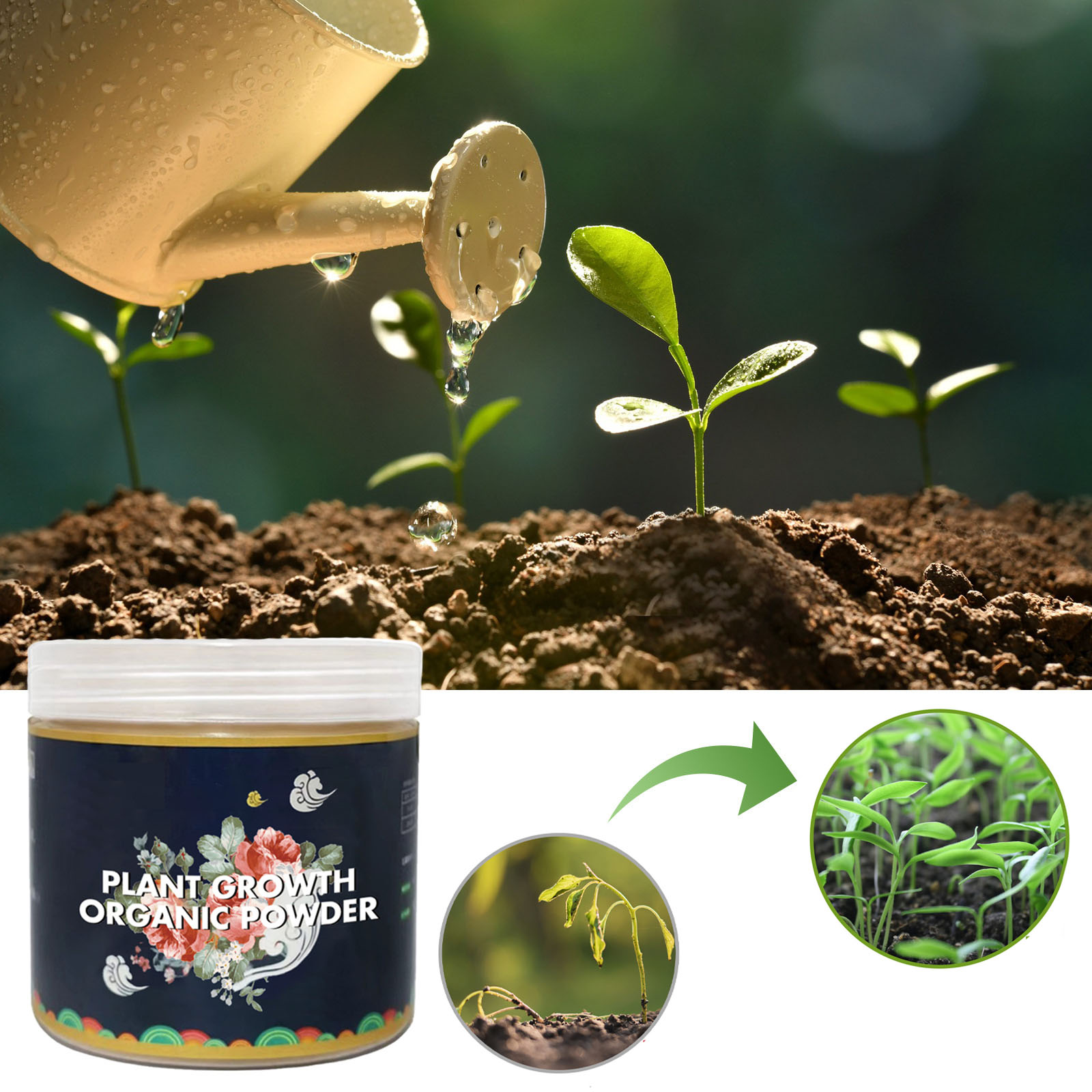 Rooting Hormone Powder - Outils hydroponiques de jardin potager, poudre