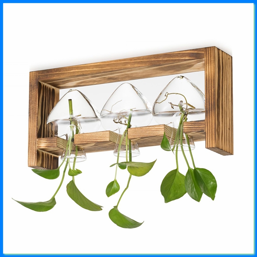 Propagation Station Vase - Station de propagation en verre pour