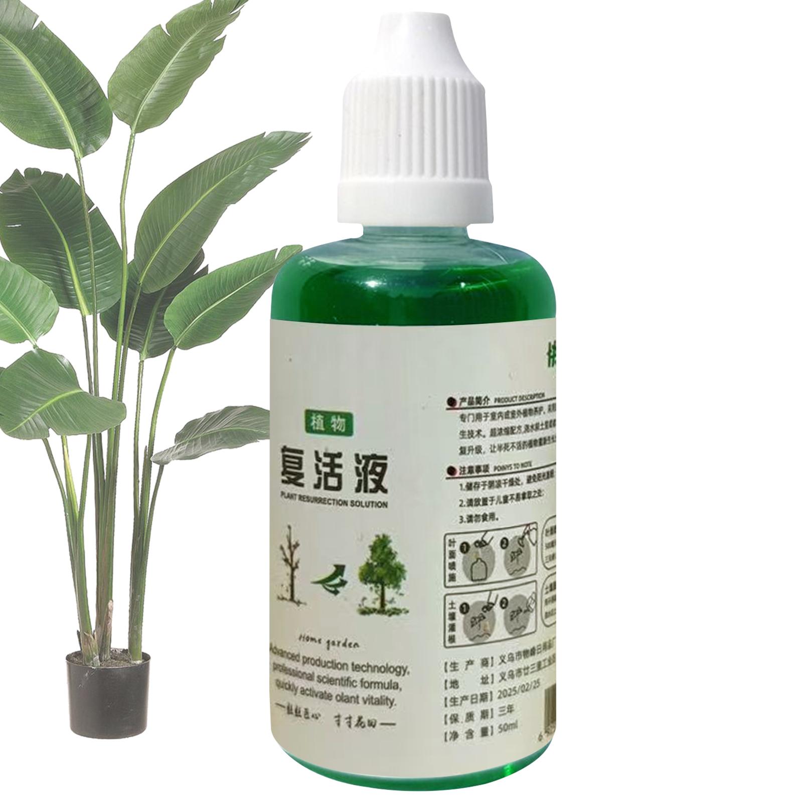 Root Stimulator Liquid - Stimulateur de racines, liquide de resuscitation