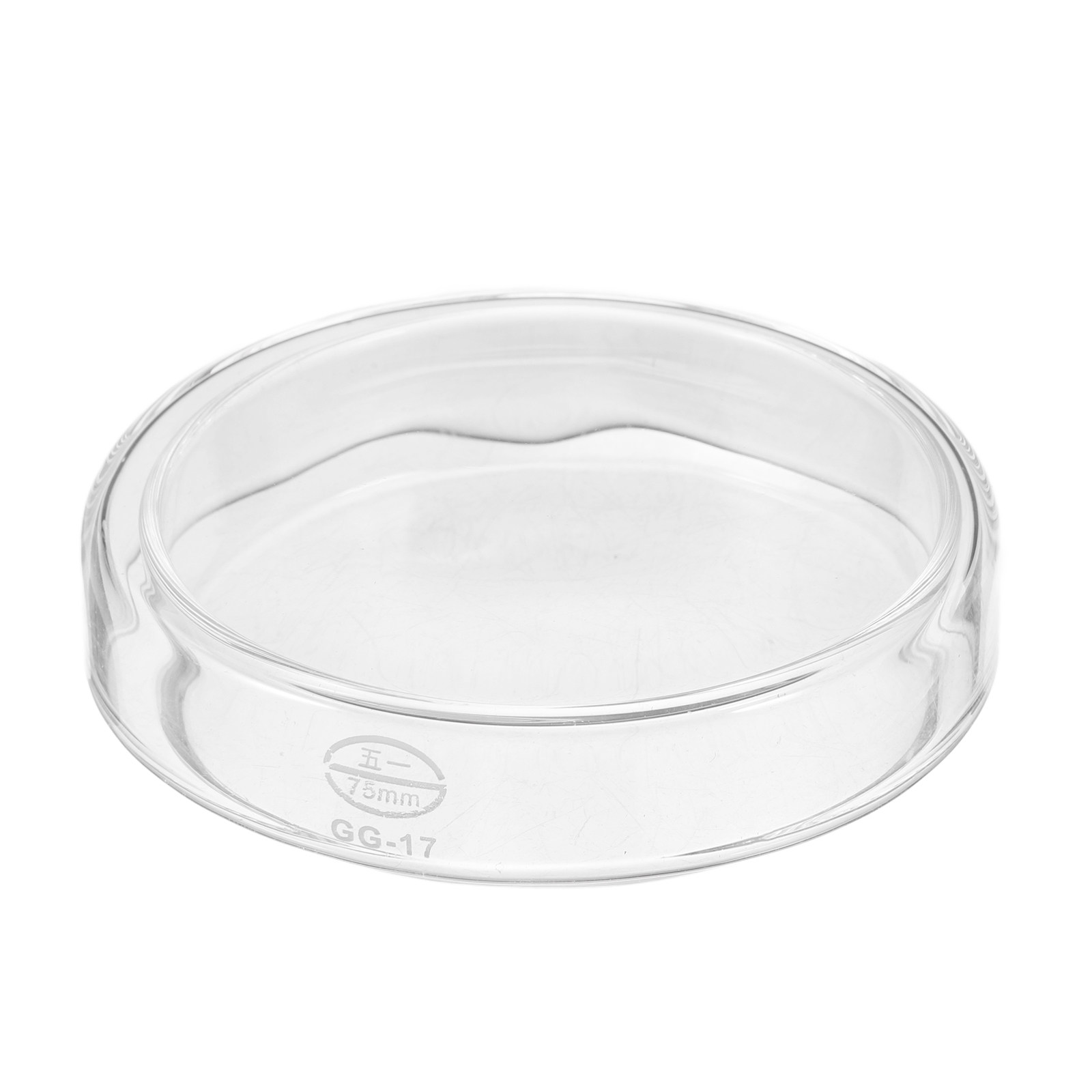Agar Tissue Culture - 1 lot de plaques de Petri