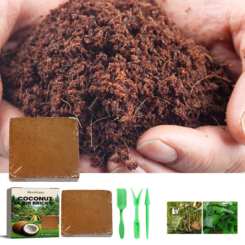 Sphagnum Moss Dry - Brique de fibres de coco -