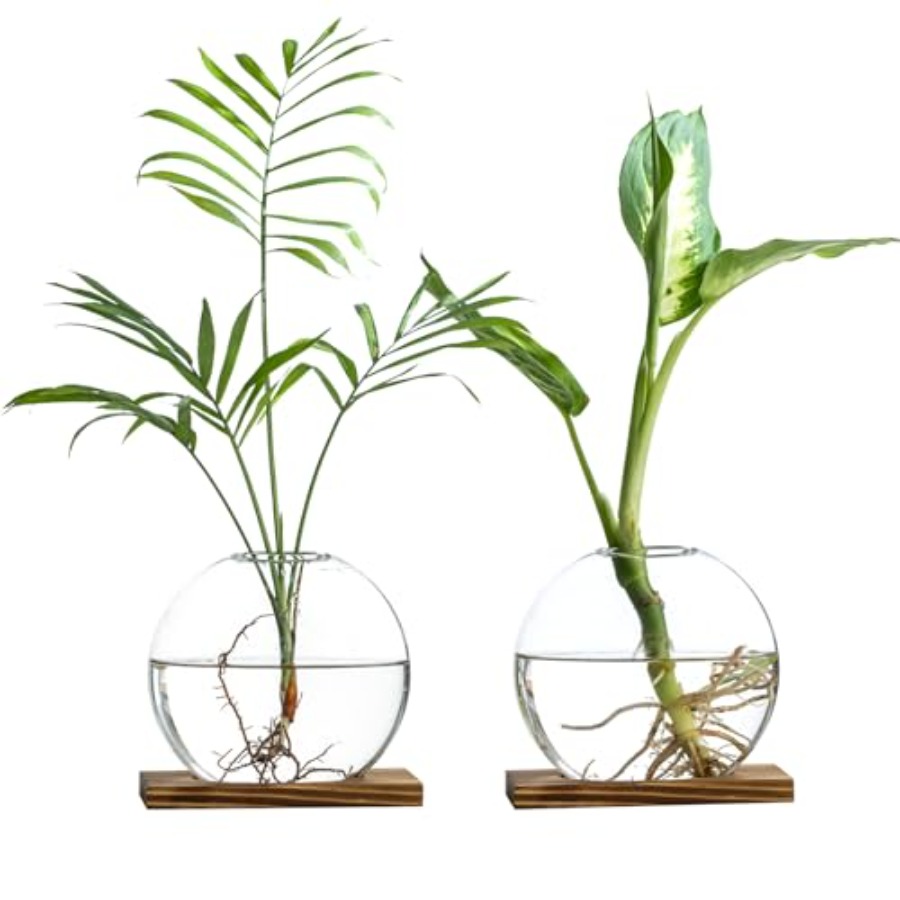 Propagation Station Vase - Station de propagation en verre avec