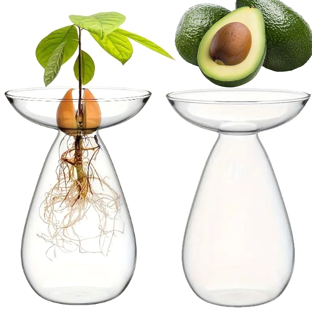 Propagation Station Vase - Vase hydroponique transparent pour semis de