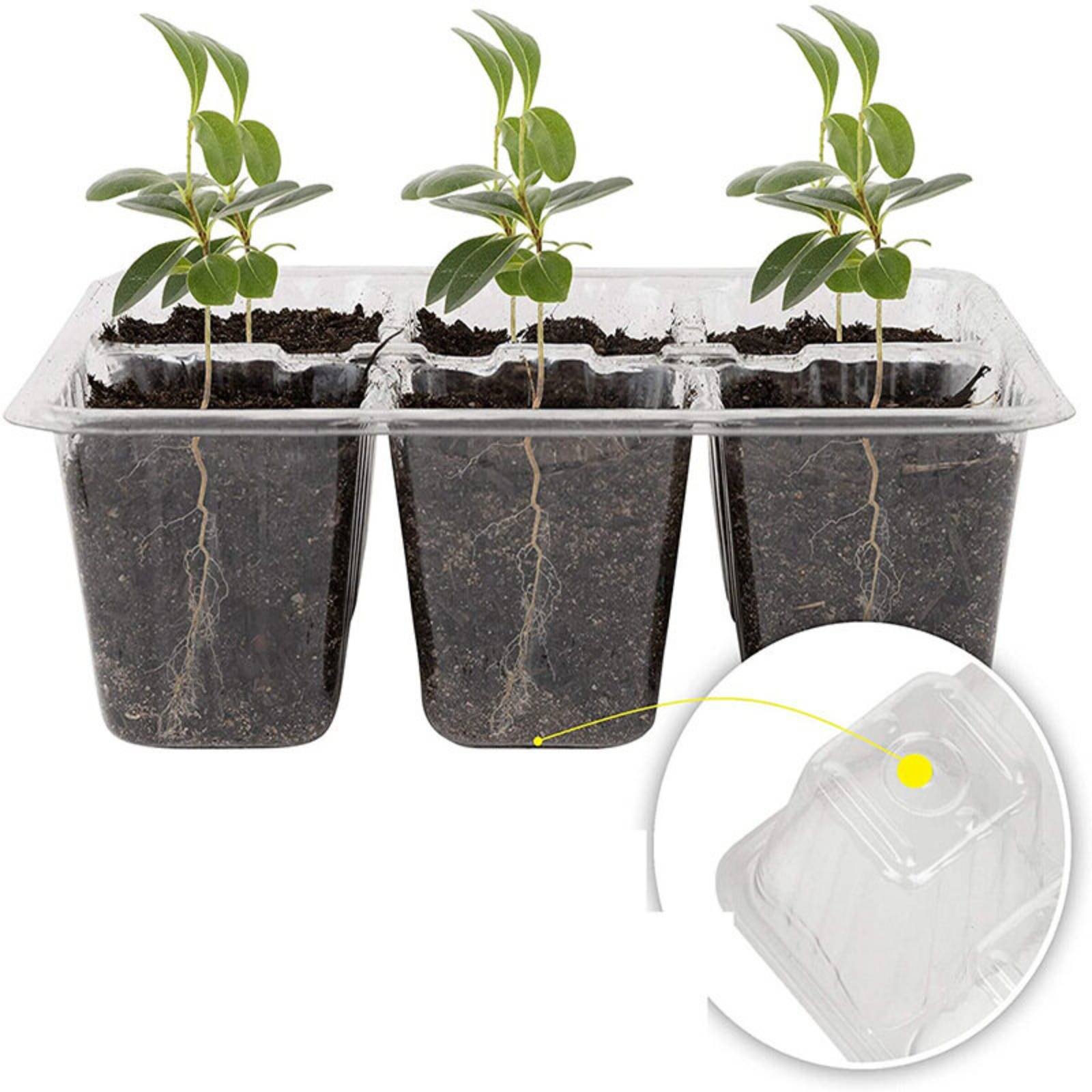 Humidity Dome Kit - Plateau de germination à 12 compartiments