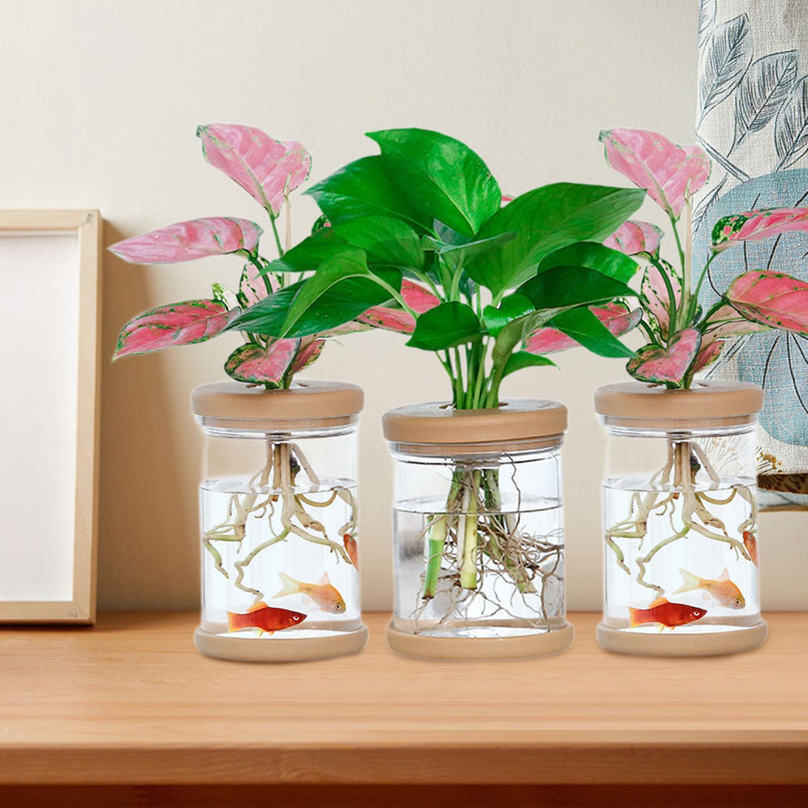 Propagation Station Vase - Vases à fleurs hydroponiques, 3 pièces,