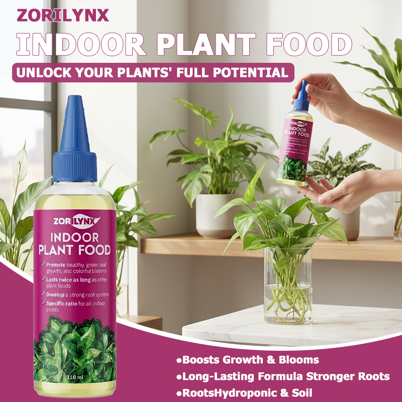 Root Stimulator Liquid - Stimulateur de racines pour plantes d'intérieur,