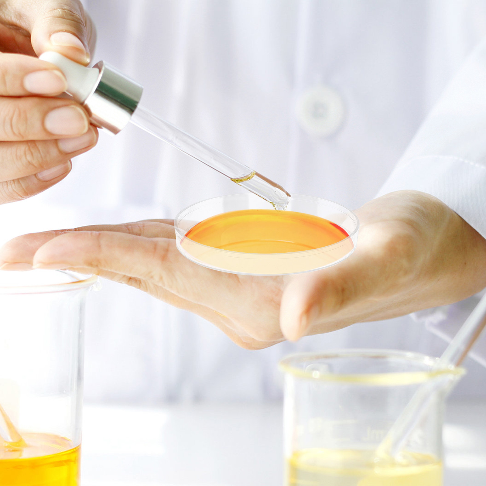 Agar Tissue Culture - 30 plaques de Petri en plastique