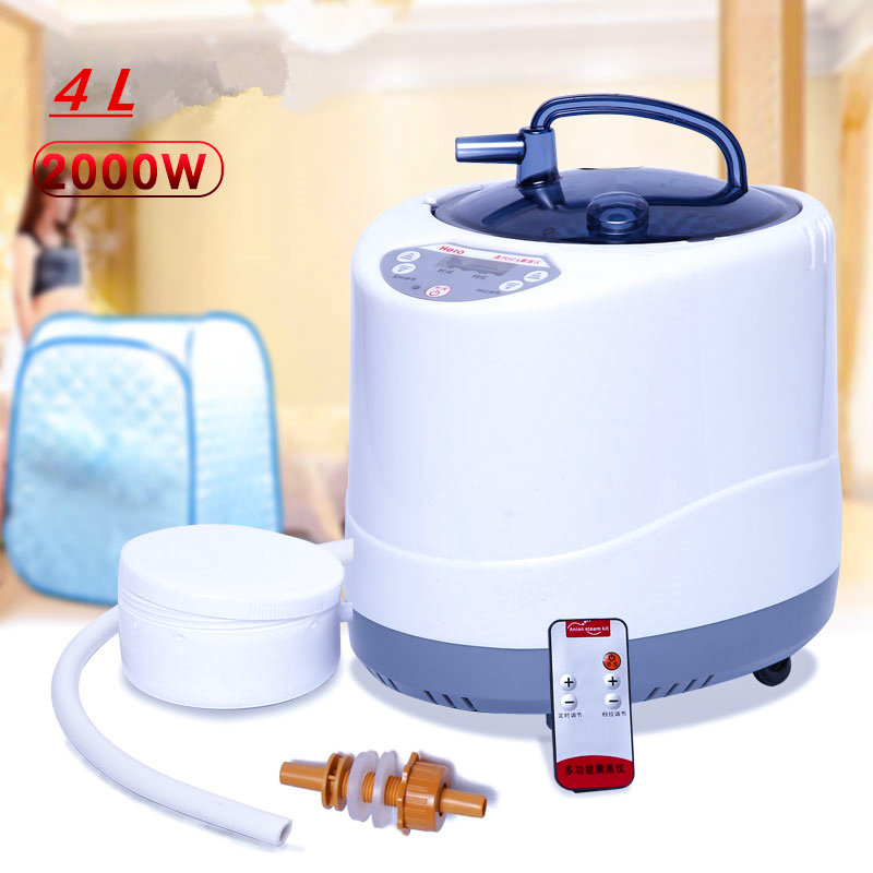 Self Watering Insert - Générateur de vapeur 220V/110V, prise ue