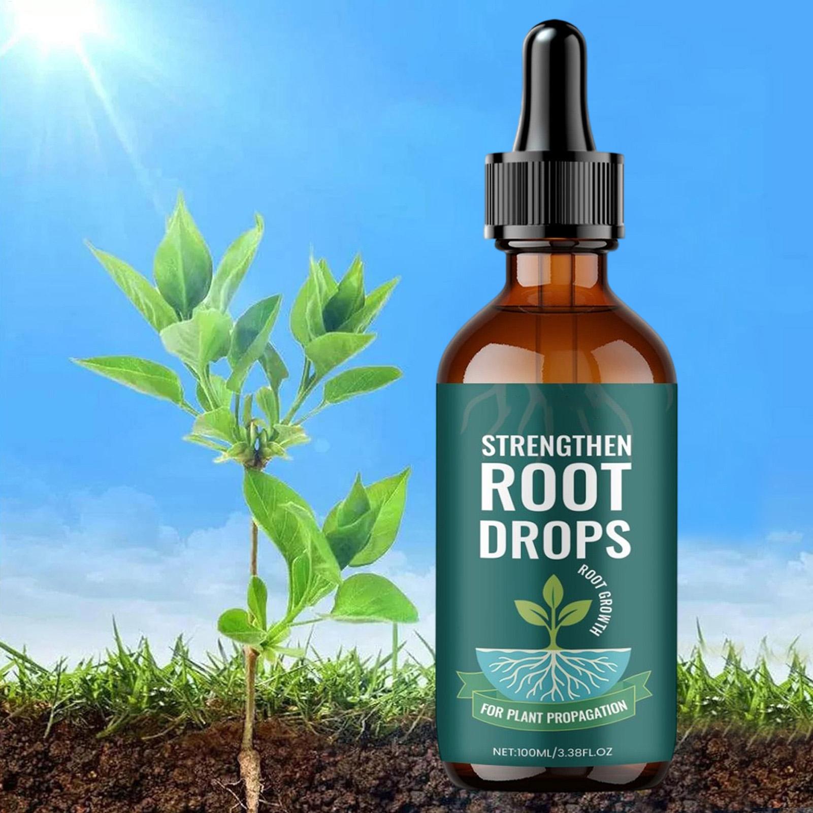 Root Stimulator Liquid - Gouttes liquides pour l'enracinement des plantes,