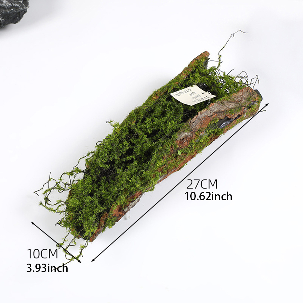 1 Imitation écorce mousse plan - Sphagnum Moss Dry avis et prix