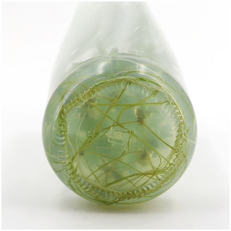 Milieu de culture MS sans agar - Agar Tissue Culture avis et prix