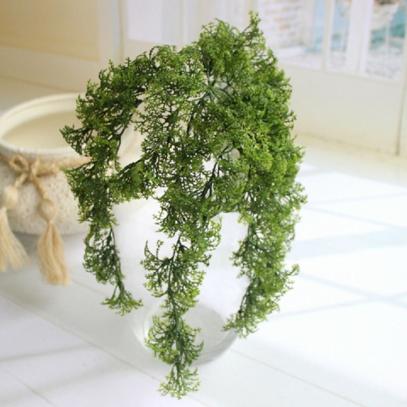 Plante de mousse artificielle  - Sphagnum Moss Dry avis et prix