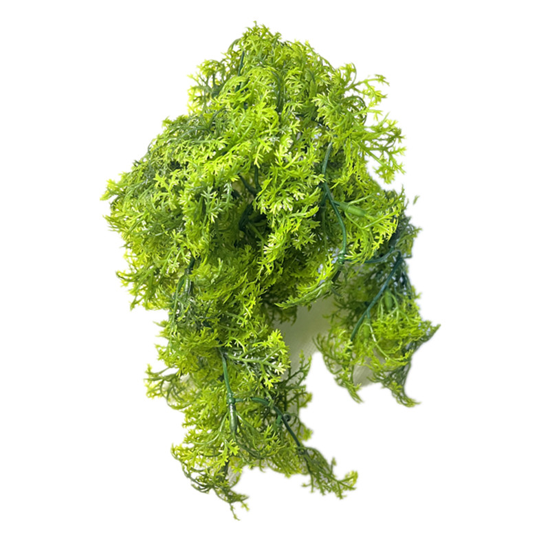 Plante de mousse artificielle  - Sphagnum Moss Dry avis et prix