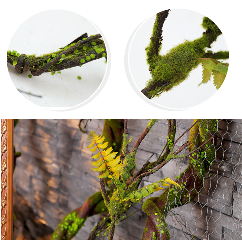 Vigne de Flocage de Fausse Mou - Sphagnum Moss Dry avis et prix
