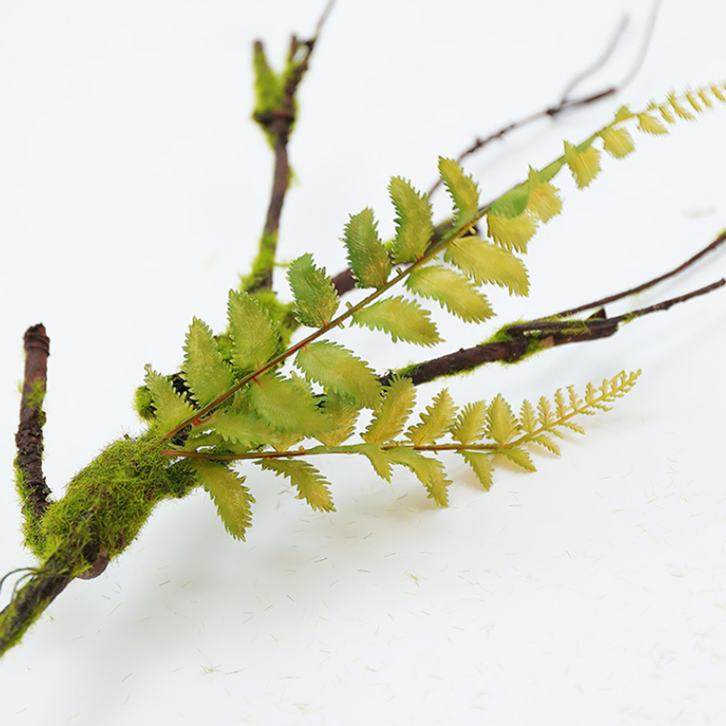 Vigne de Flocage de Fausse Mou - Sphagnum Moss Dry avis et prix