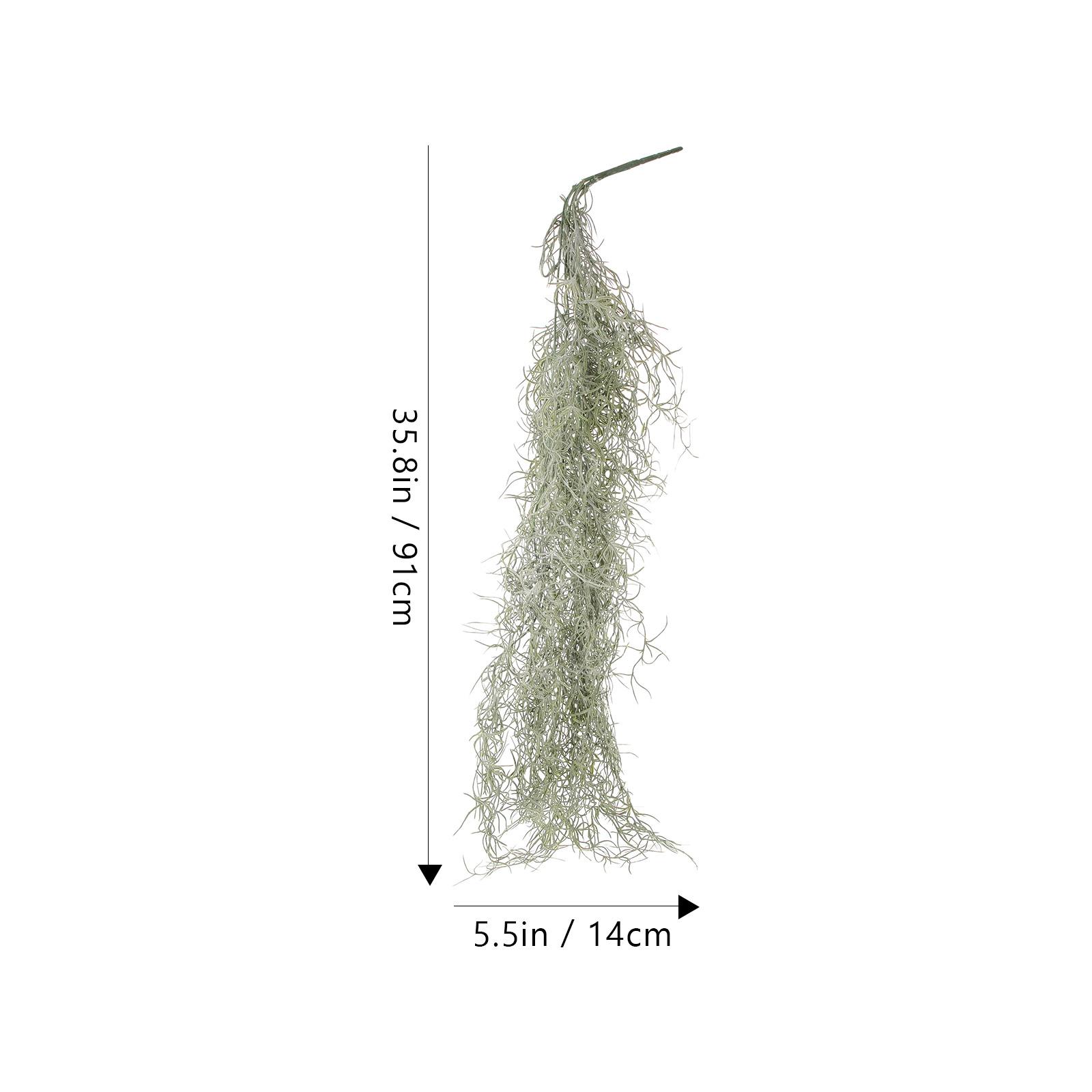Fleurs séchées artificielles v - Sphagnum Moss Dry avis et prix