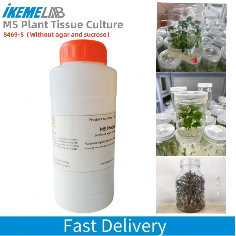 IKEME-Laboratoire MS Medium sa - Agar Tissue Culture avis et prix