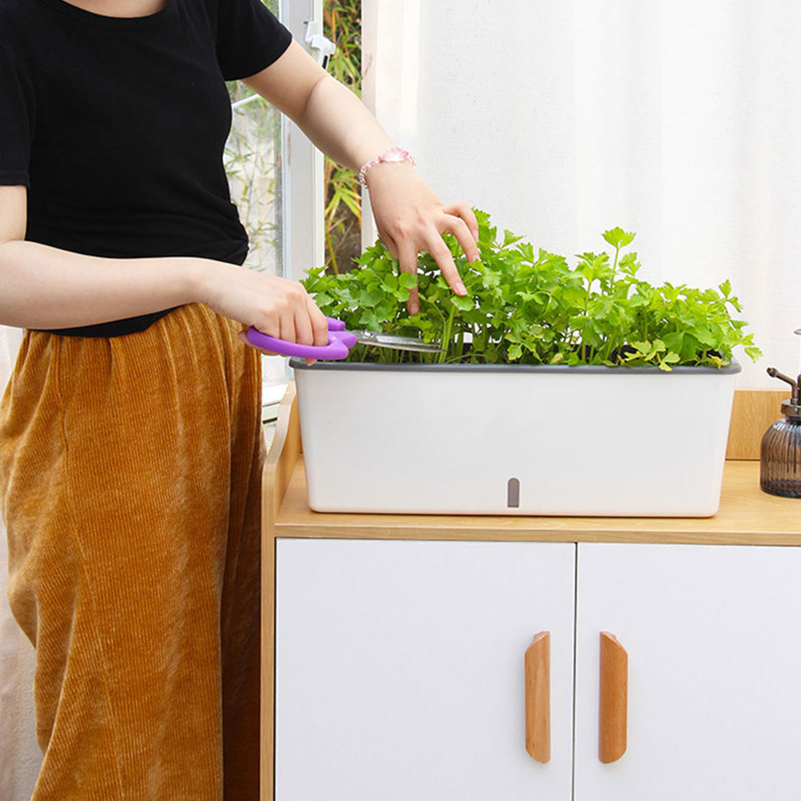 Pots de jardinière à arrosage  - Self Watering Insert avis et prix