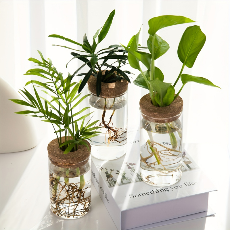 User inière en verre pour plan - Propagation Station Vase avis et prix