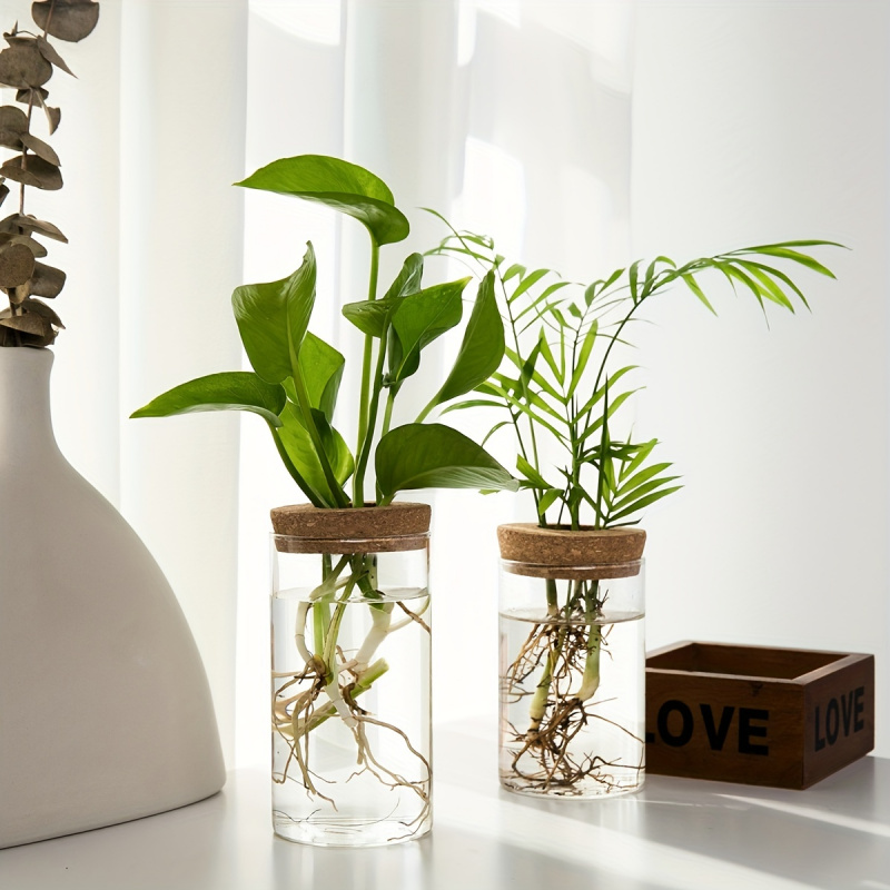 User inière en verre pour plan - Propagation Station Vase avis et prix