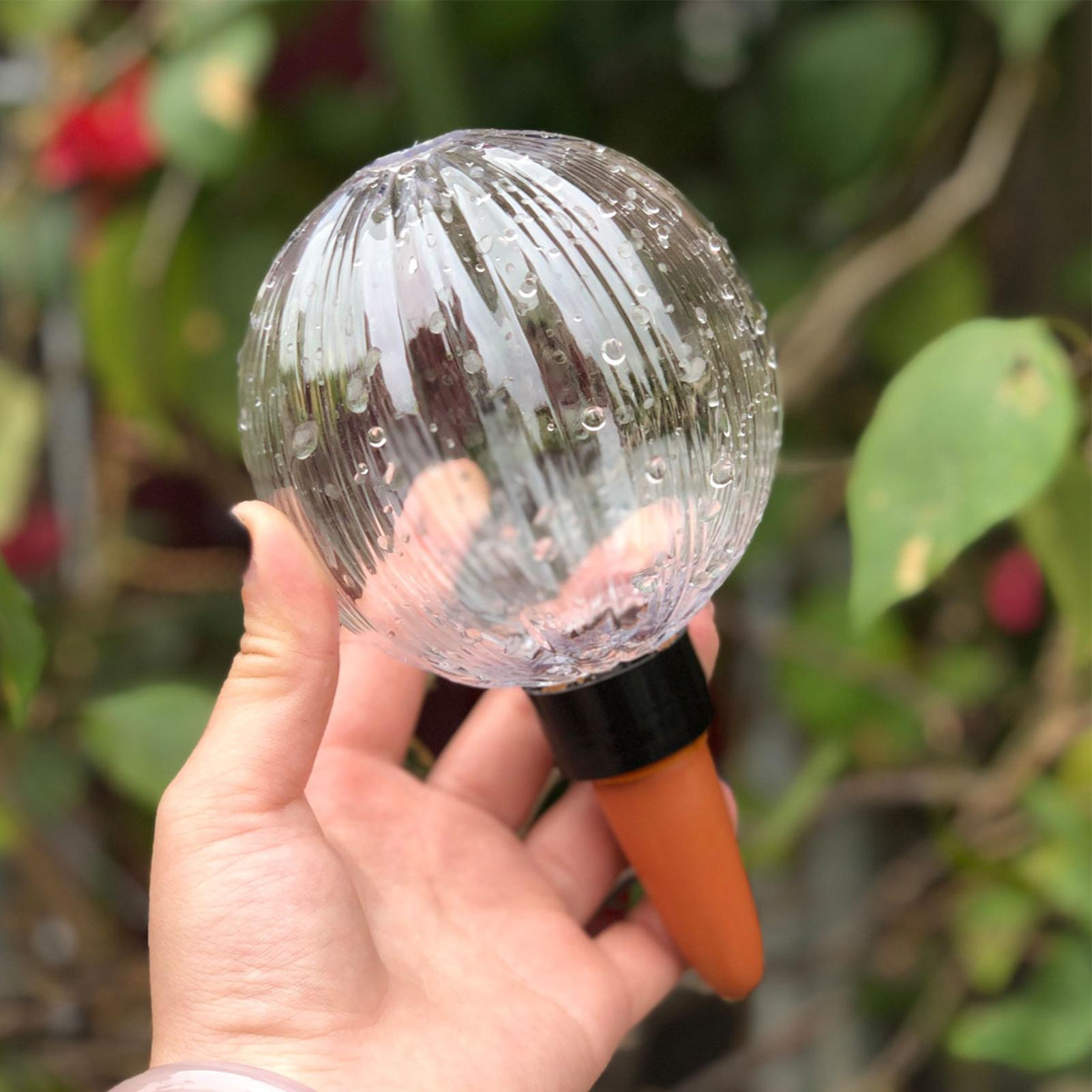 Insert de jardinière auto-arro - Self Watering Insert avis et prix