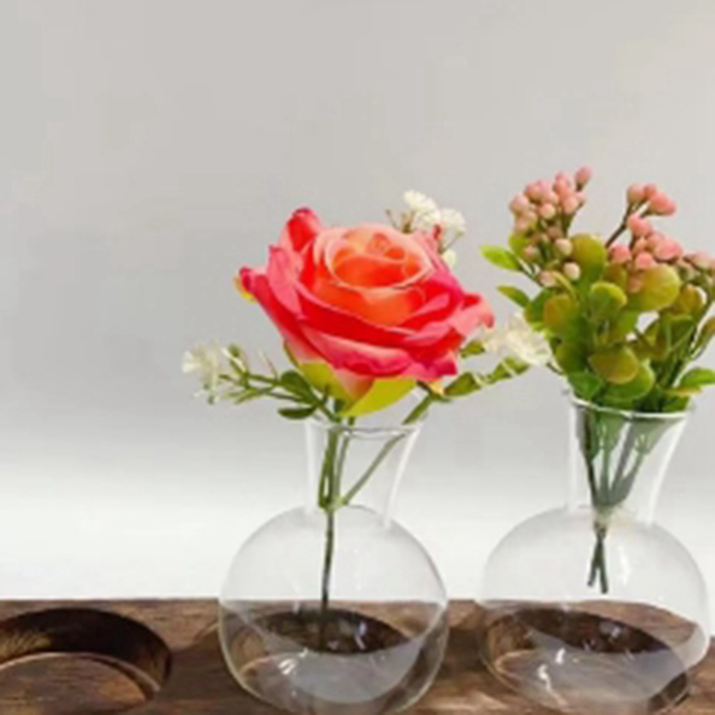 Vases de plantes hydroponiques - Propagation Station Vase avis et prix