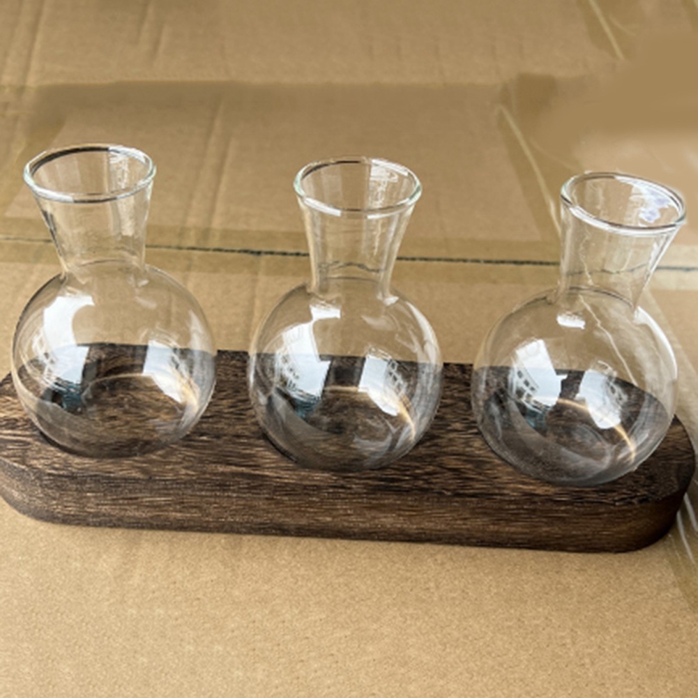 Vases de plantes hydroponiques - Propagation Station Vase avis et prix