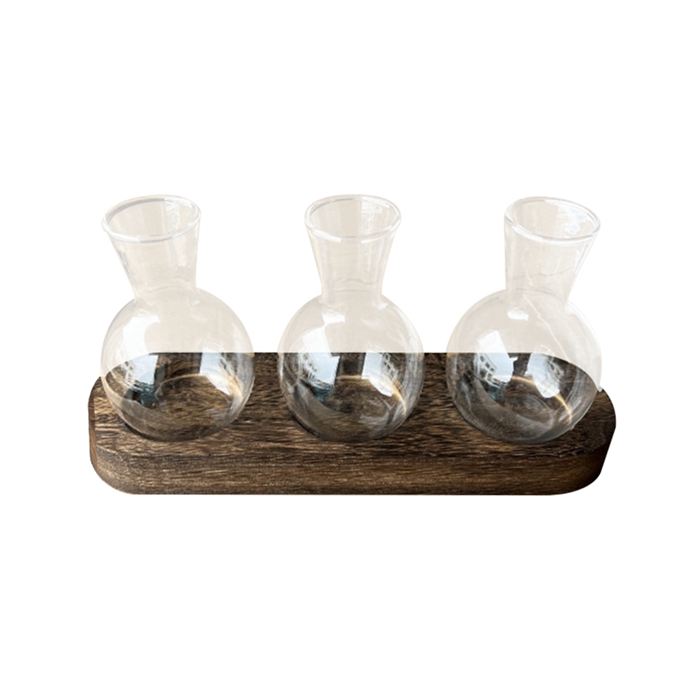 Vases de plantes hydroponiques - Propagation Station Vase avis et prix
