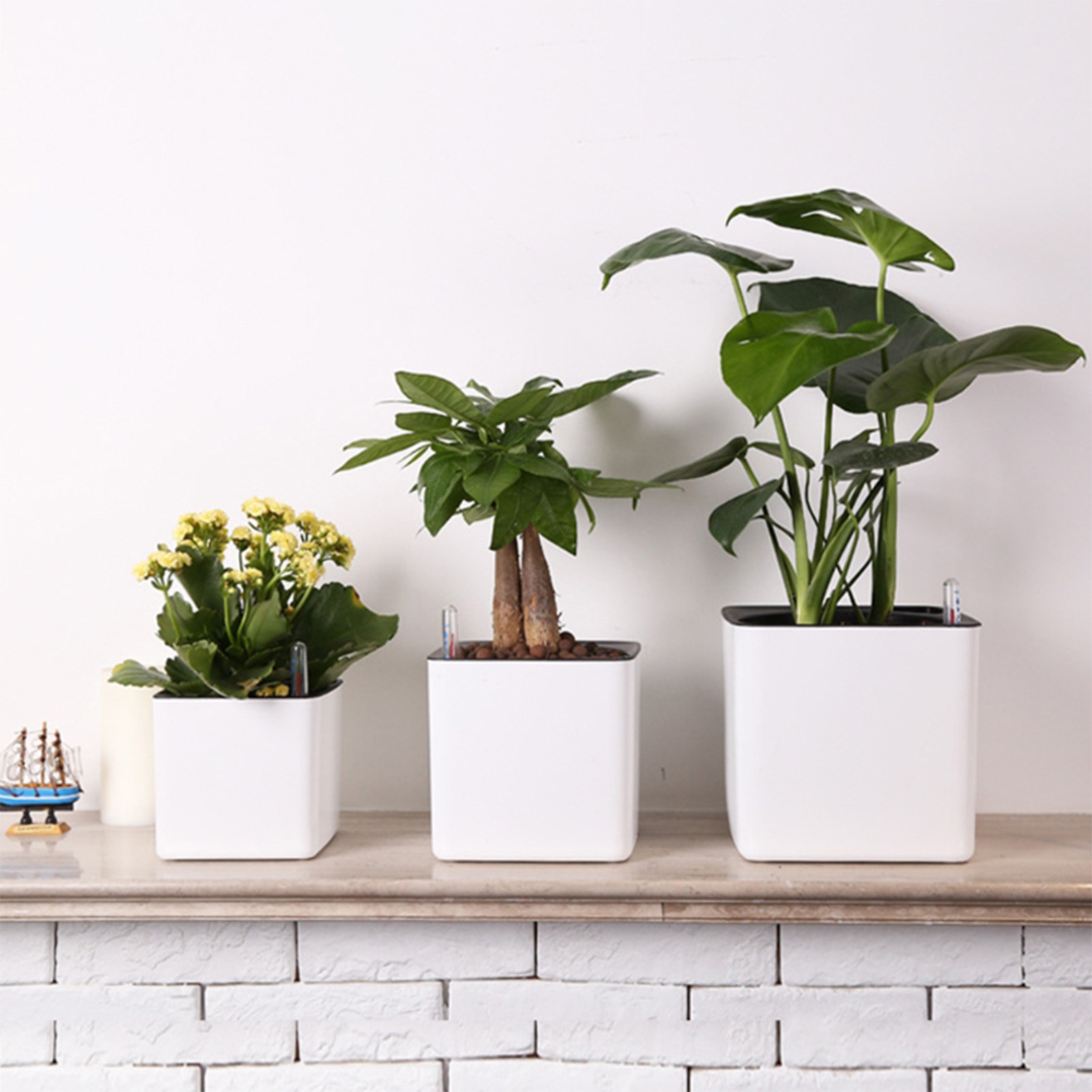 Pot de plantes à fleurs à arro - Self Watering Insert avis et prix
