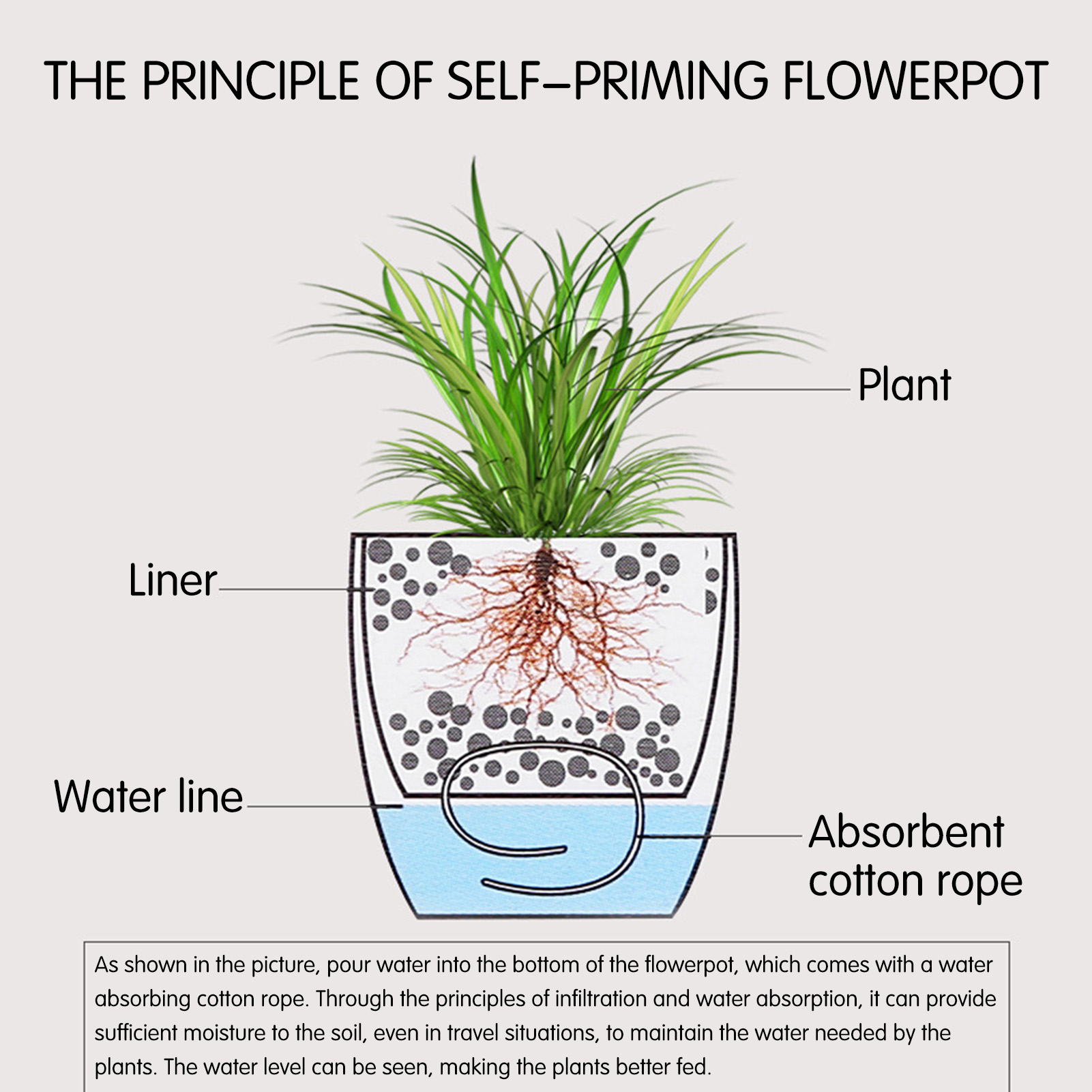 Pot de plantes à fleurs à arro - Self Watering Insert avis et prix