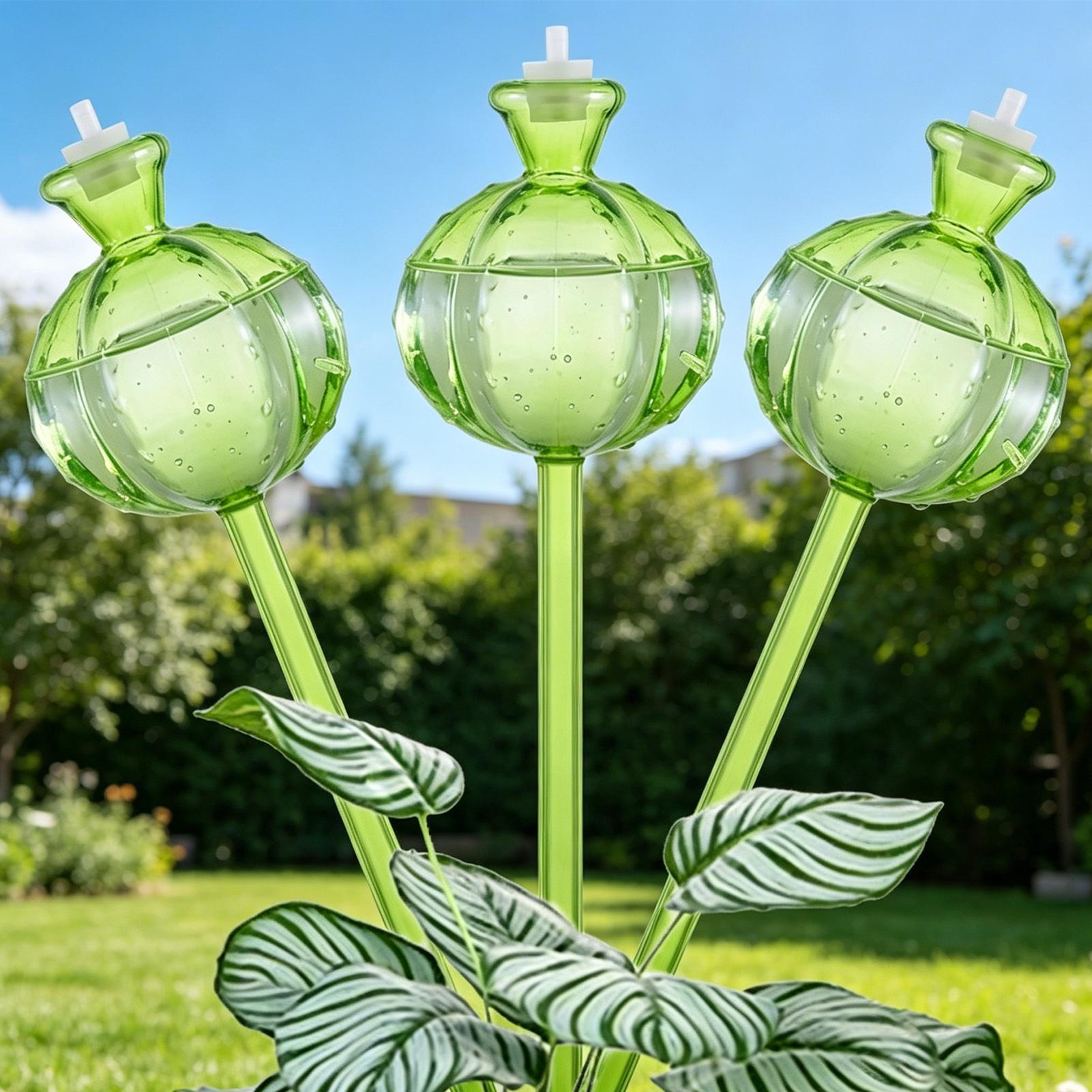Globes auto-arrosants 3 pièces - Self Watering Insert avis et prix