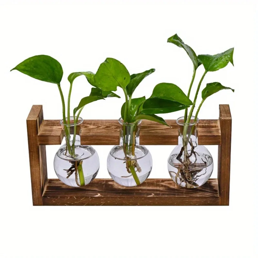 Station de Propagation de jard - Propagation Station Vase avis et prix