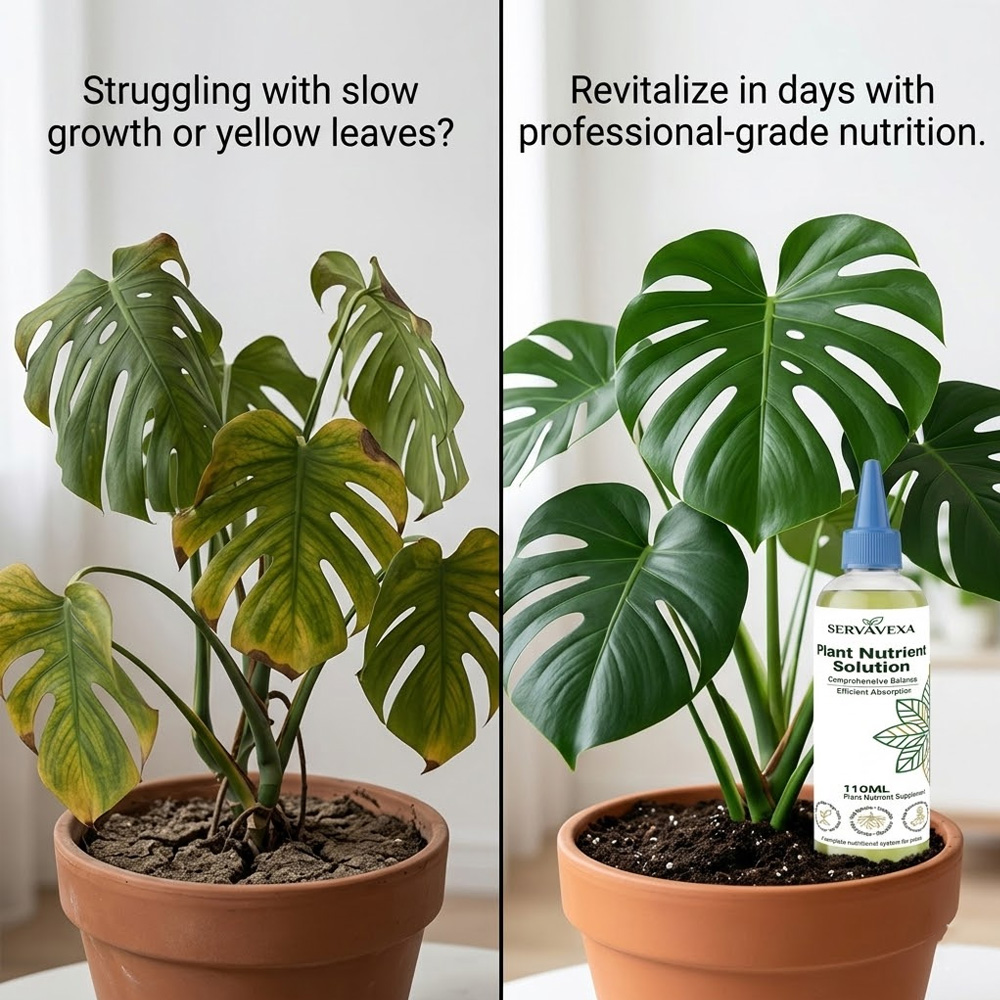 Solution nutritive pour plante - Rooting Hormone Powder avis et prix