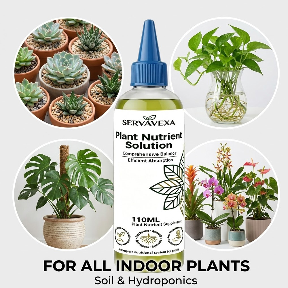 Solution nutritive pour plante - Rooting Hormone Powder avis et prix