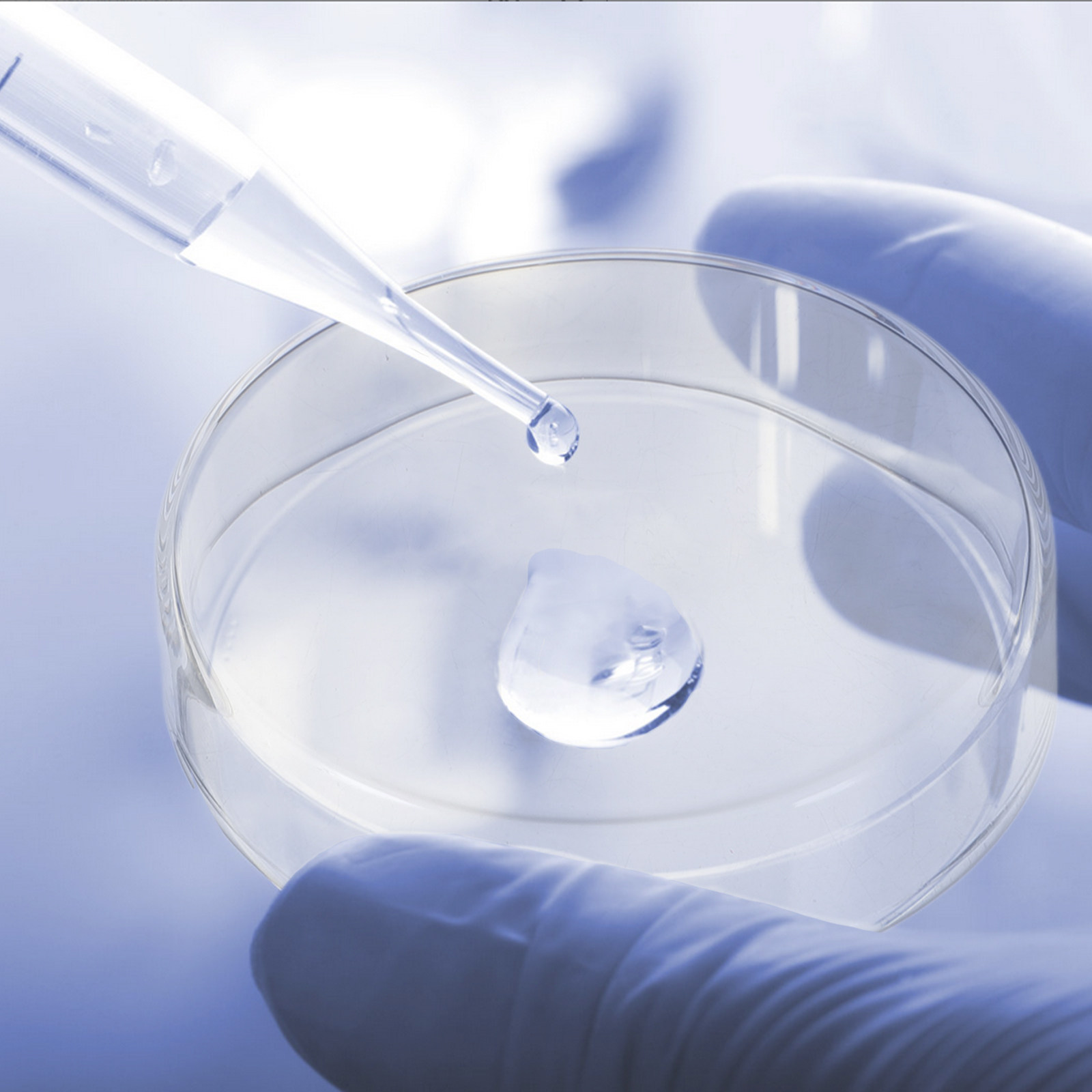 1 lot de plaques de Petri en v - Agar Tissue Culture avis et prix