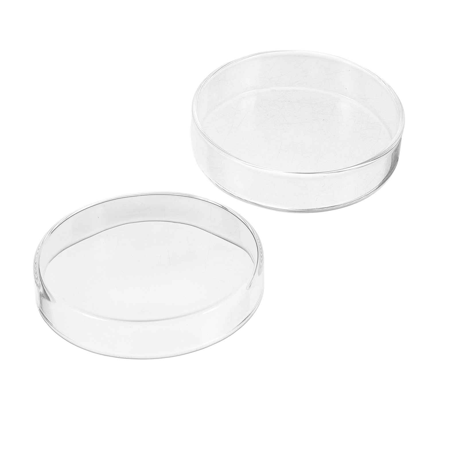 1 lot de plaques de Petri en v - Agar Tissue Culture avis et prix