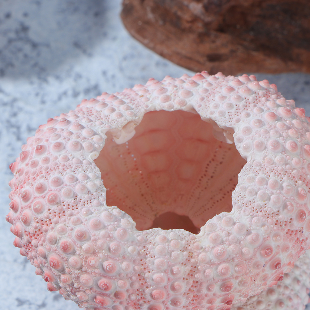 Coquilles miniatures pour bric - Propagation Station Vase avis et prix