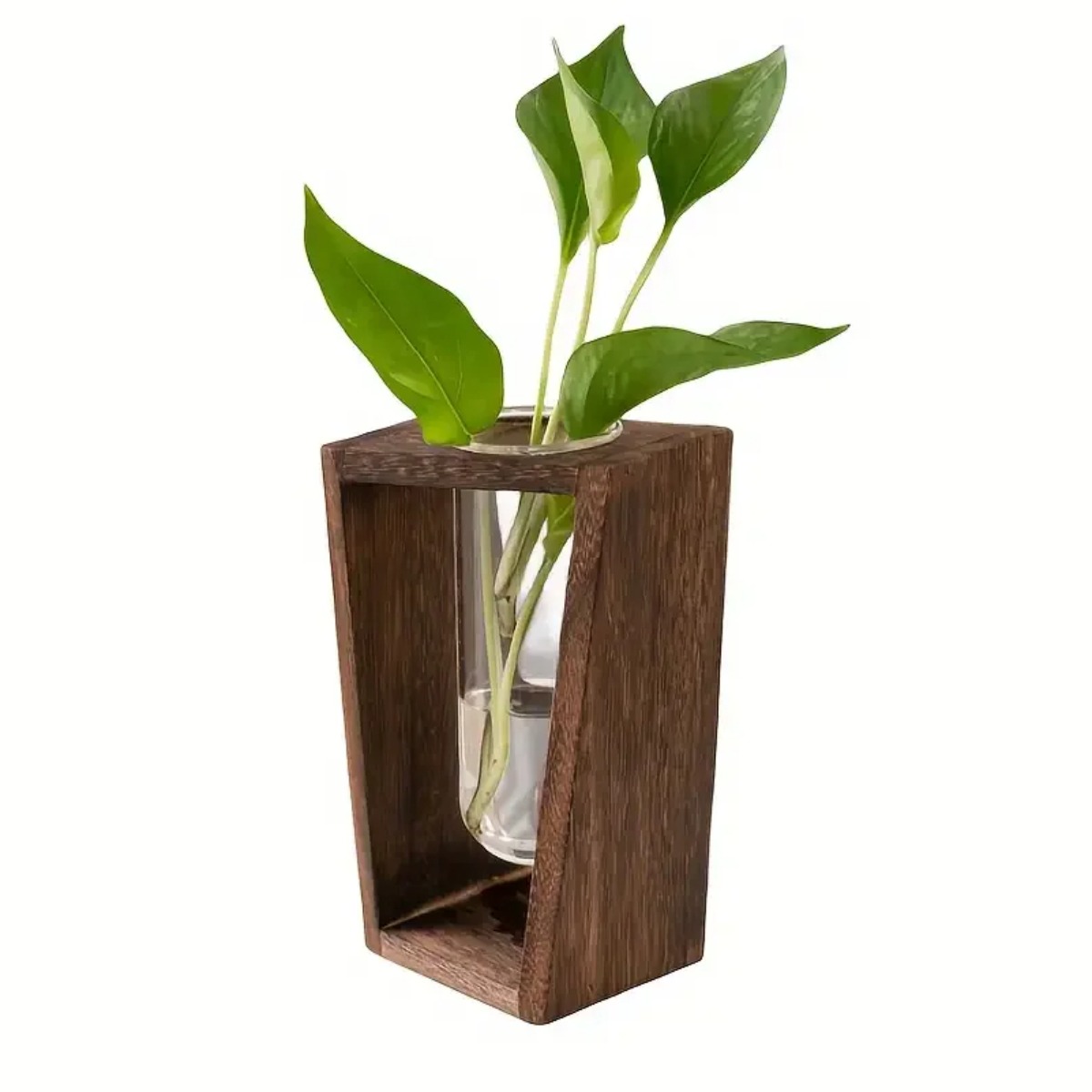 Station de propagation de plan - Propagation Station Vase avis et prix
