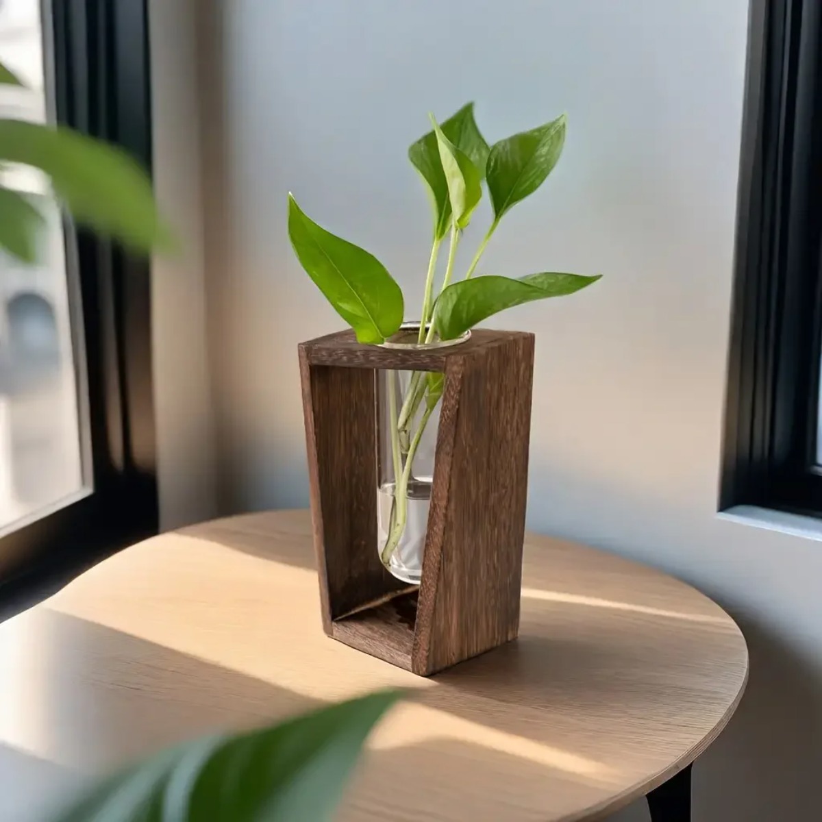 Station de propagation de plan - Propagation Station Vase avis et prix