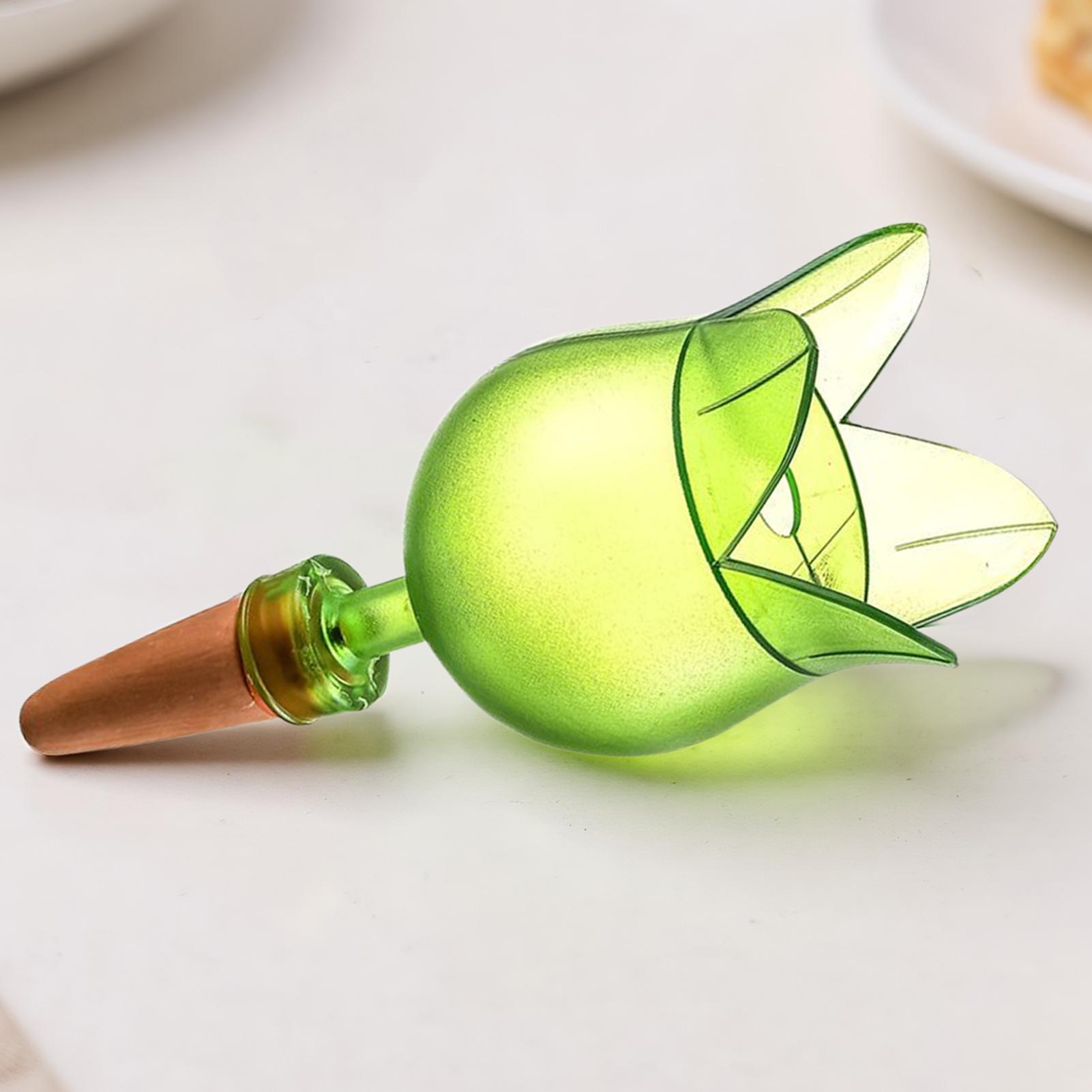 Piquet d'arrosage automatique  - Self Watering Insert avis et prix