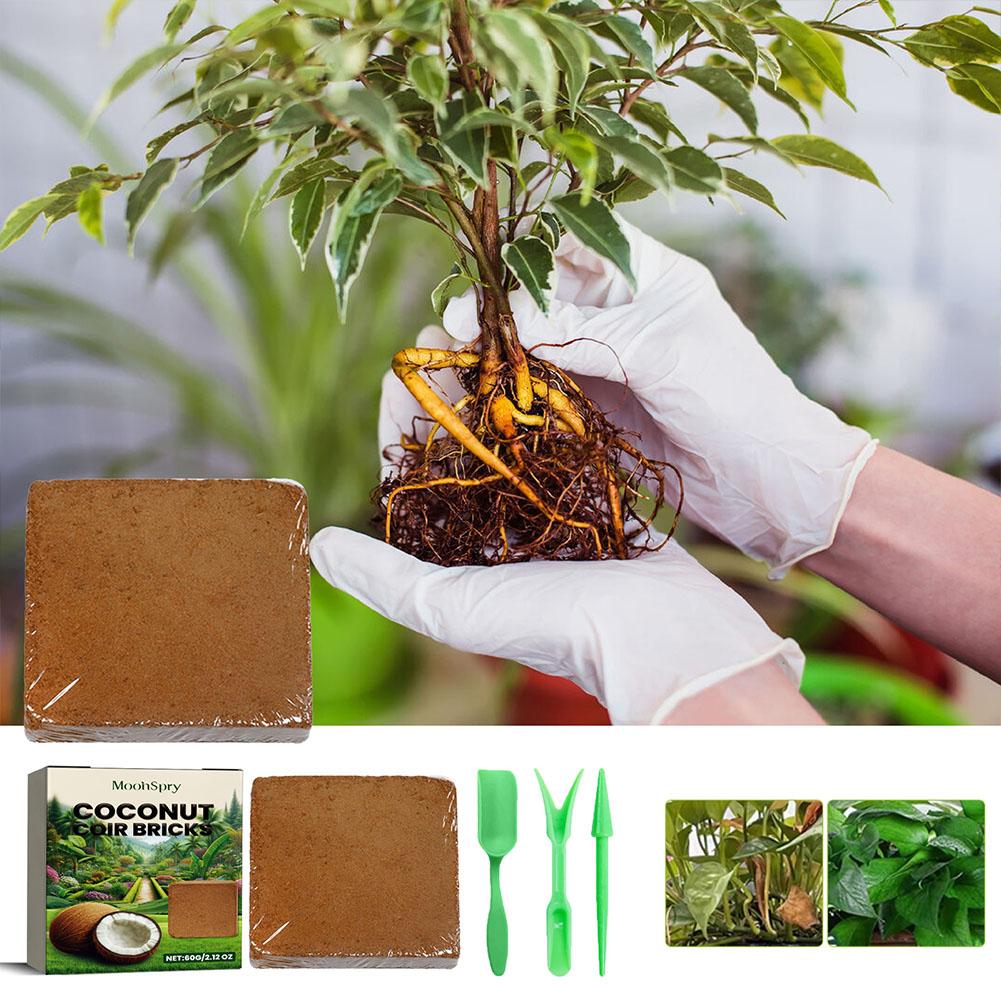 Brique de fibres de coco - Sub - Sphagnum Moss Dry avis et prix