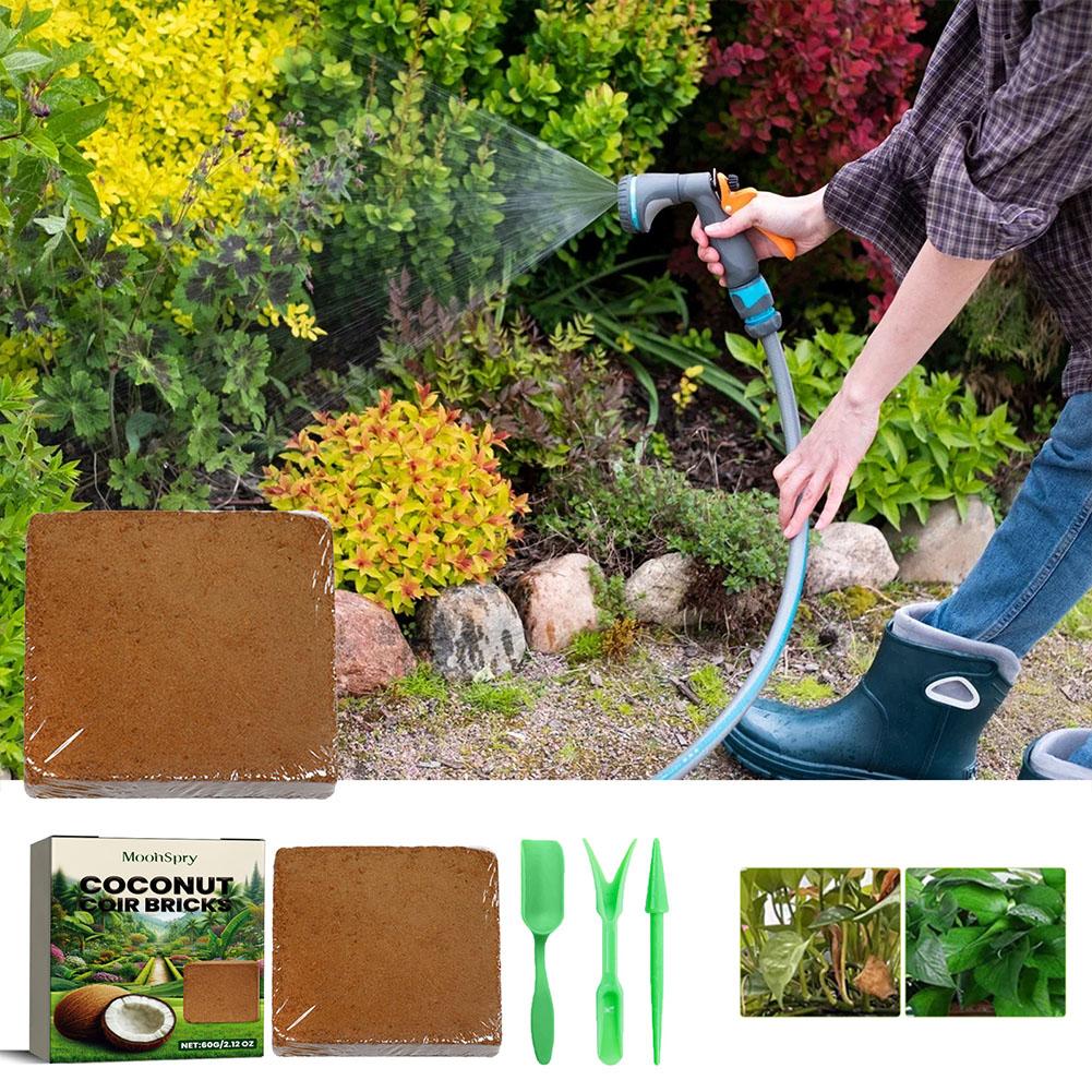 Brique de fibres de coco - Sub - Sphagnum Moss Dry avis et prix
