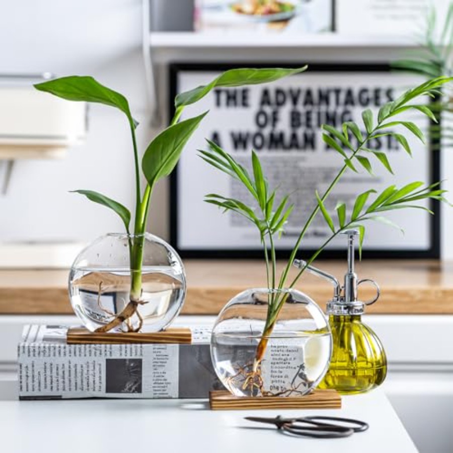 Station de propagation en verr - Propagation Station Vase avis et prix