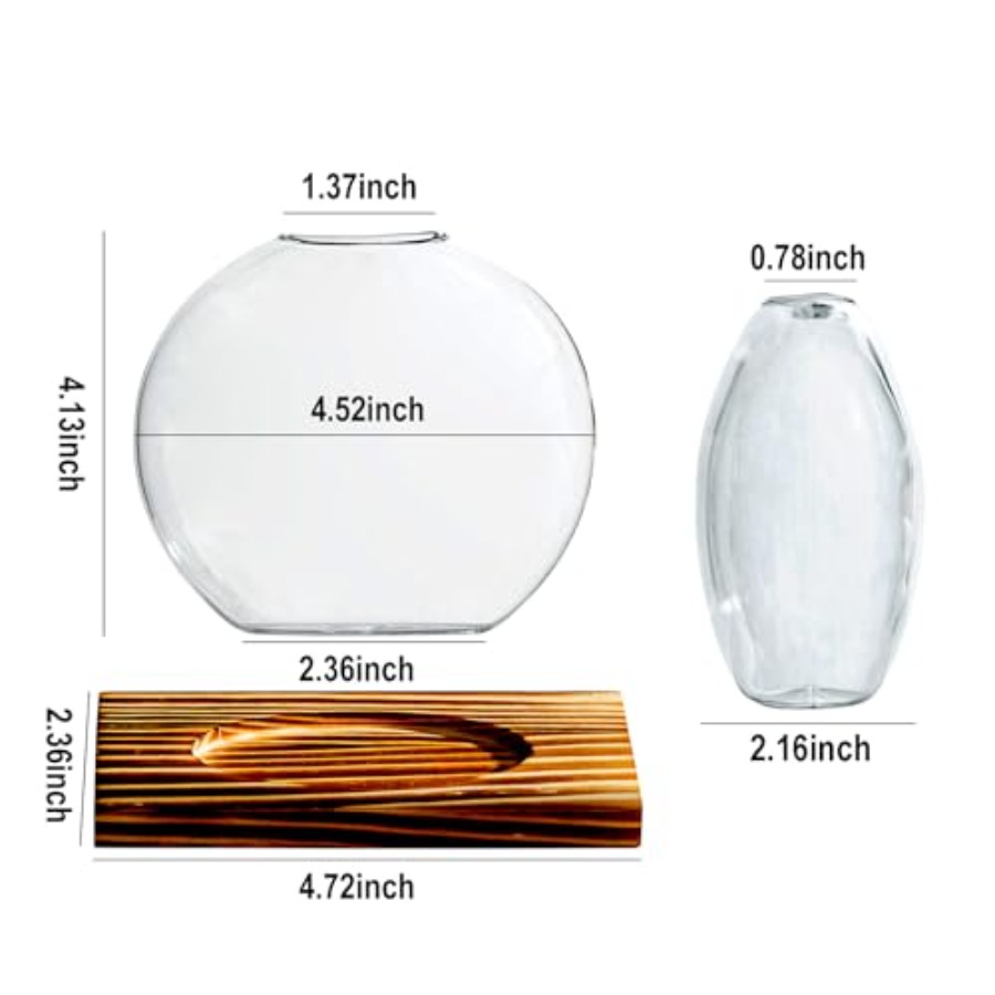 Station de propagation en verr - Propagation Station Vase avis et prix