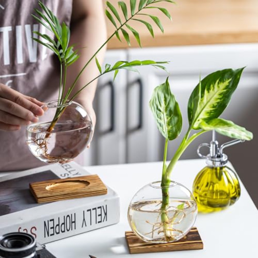 Station de propagation en verr - Propagation Station Vase avis et prix