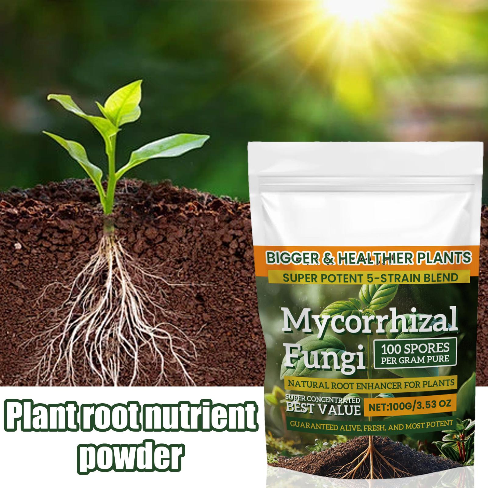 Nouvelle poudre nutritive pour - Rooting Hormone Powder avis et prix